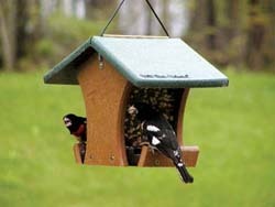 EcoTough&trade; Classic Too Bird Feeder 