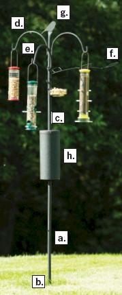 Bird Feeding Station