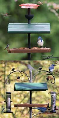 Jim's Birdacious Treat Tray with Accessories